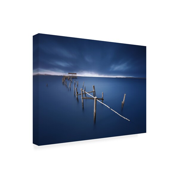 Juan Pablo De 'Carrasqueira Azul' Canvas Art,24x32